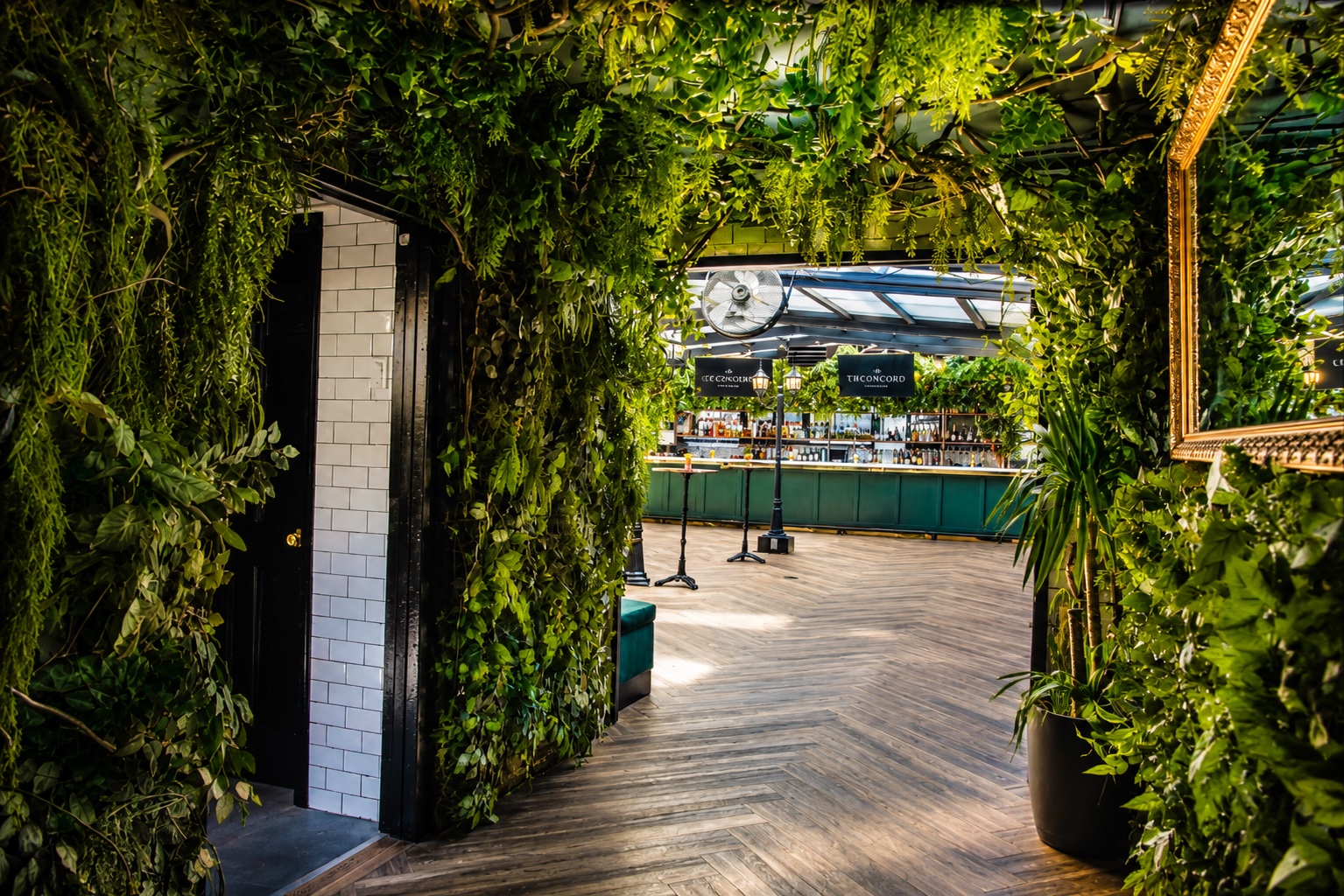 Rooftop greenery and entrance